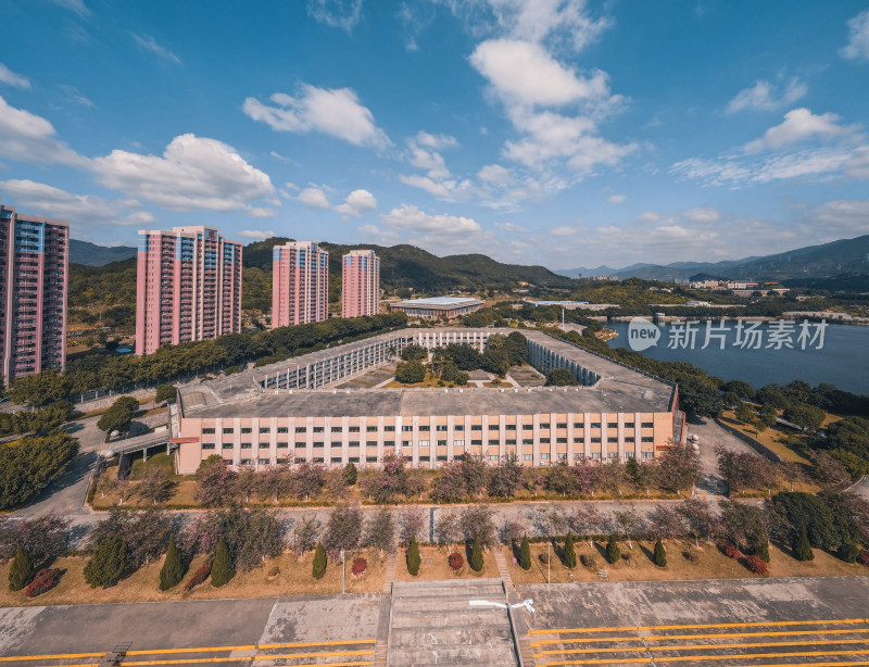 仰恩大学