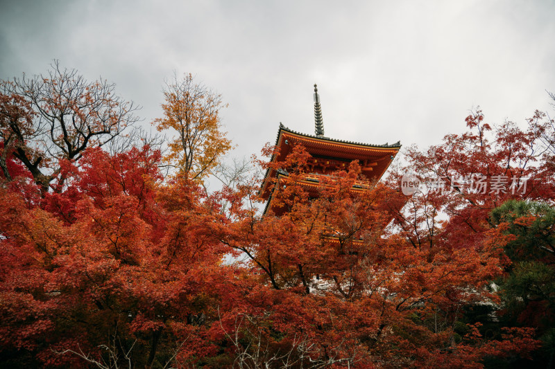 日本京都清水寺