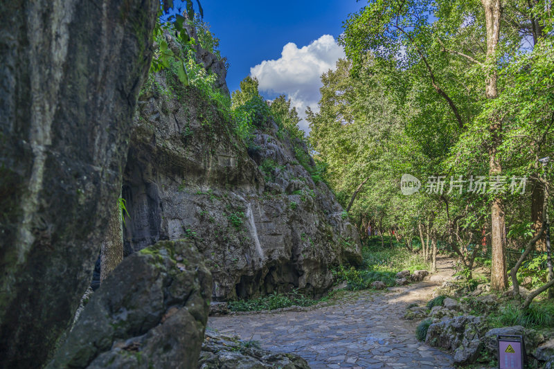 杭州飞来峰景区青林洞风景