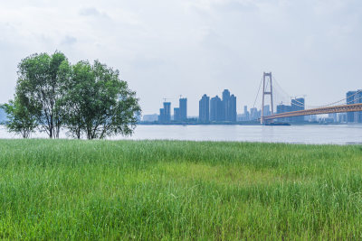 武汉洪山江滩公园风景