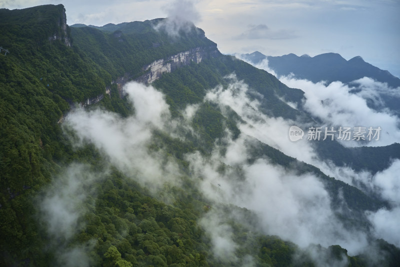 云海中的金佛山