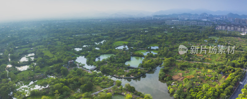 杭州余杭五常湿地夏天风光