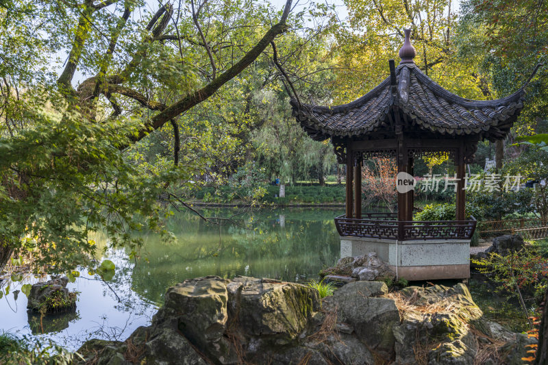 杭州西湖风景区曲院风荷风景