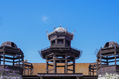 故宫延禧宫中式古建筑窗景及繁花