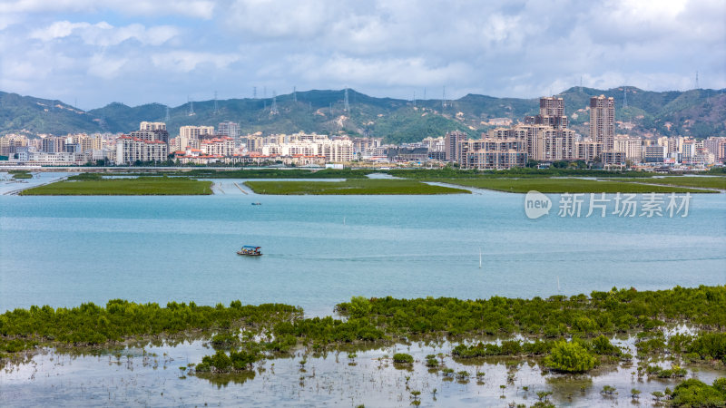 惠州盐洲海洋湿地公园-红树林湿地风光