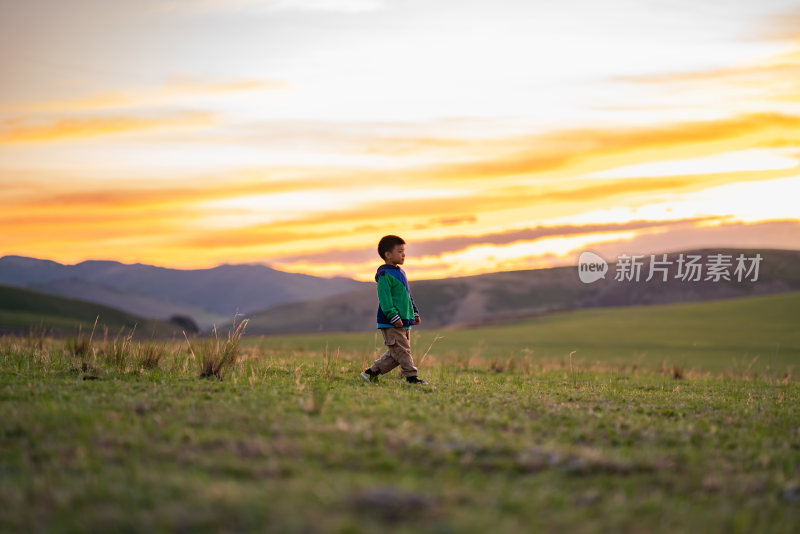 小男孩在夕阳下的呼伦贝尔大草原奔跑玩耍