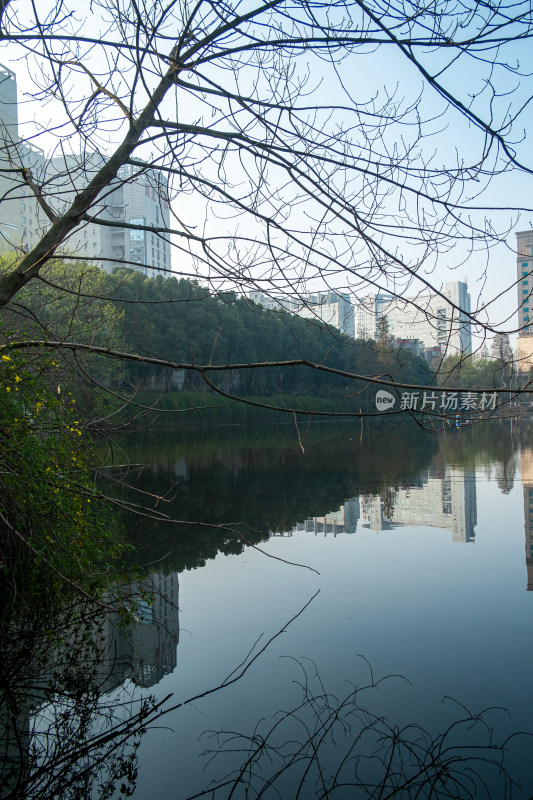 平静湖水倒映城市建筑的自然风光