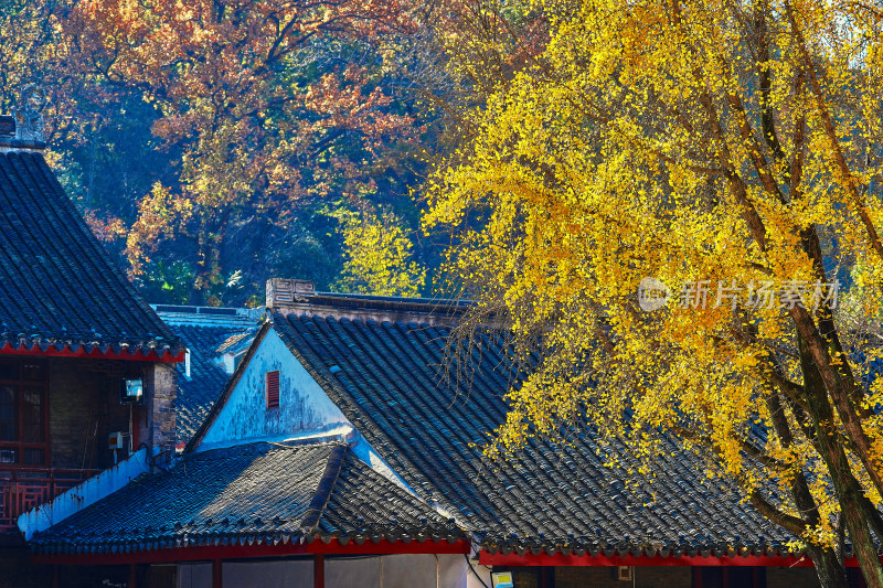 南京栖霞山栖霞寺