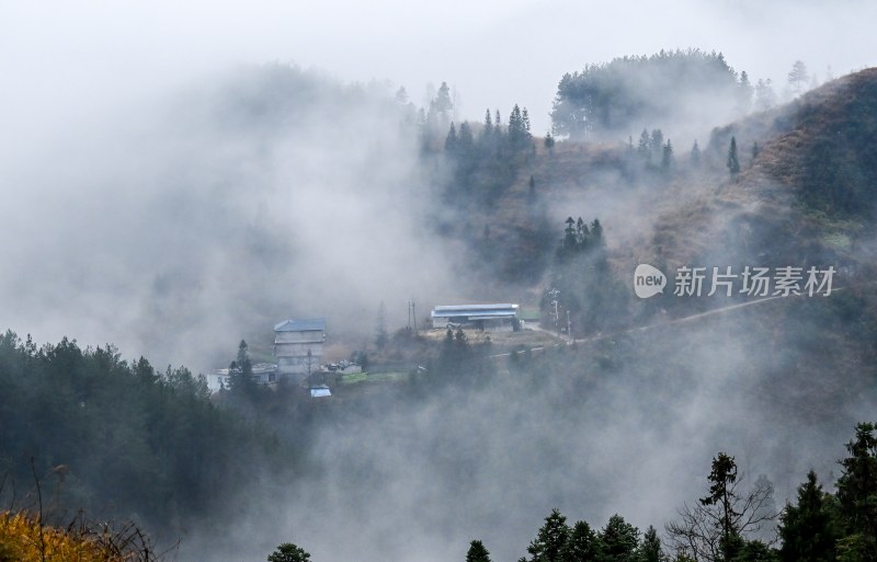 重庆酉阳：雾气中的山村田园