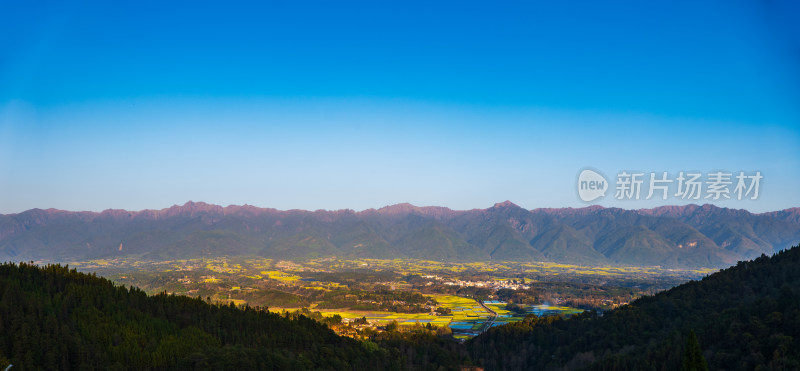 高黎贡山下的乡村金黄油菜花田