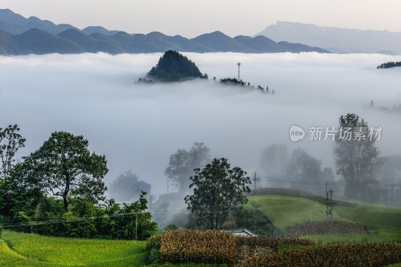 重庆酉阳：丁市初秋风景（二）