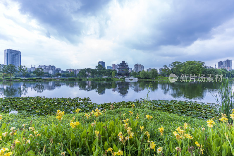 武汉武昌区紫阳公园风景