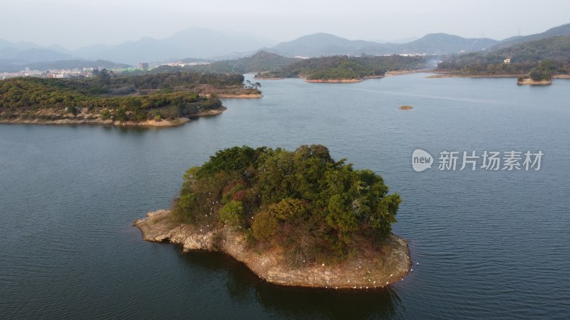 航拍广东省东莞市清溪镇契爷石水库湿地公园