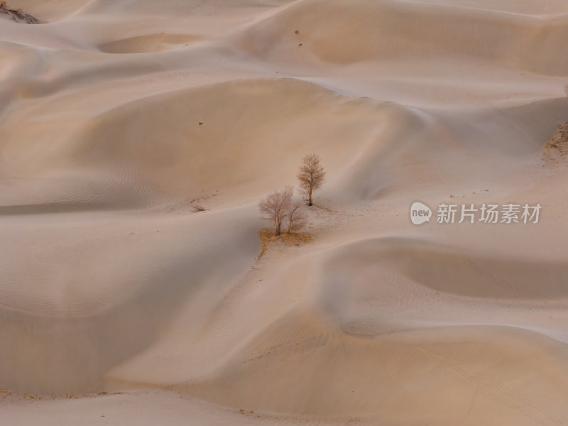 新疆南疆塔克拉玛干沙漠沙漠航拍