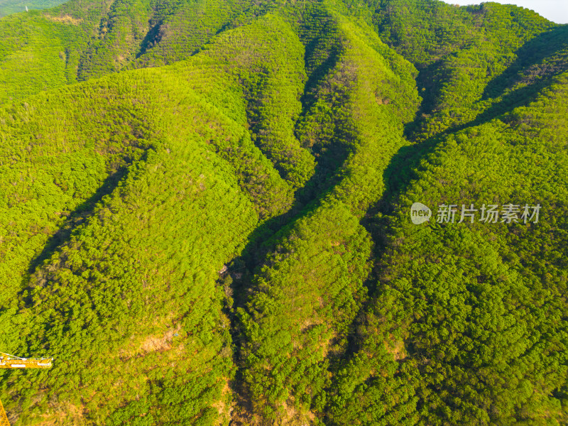 航拍山脉山林