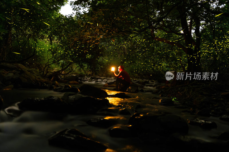 广东清远山林自然生态夏夜精灵萤火虫溪流