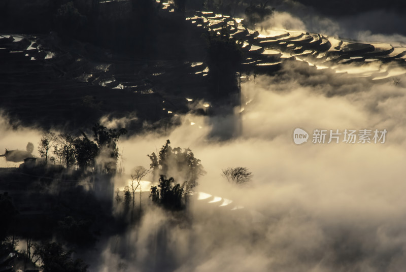 云南元阳梯田