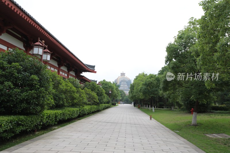 中国佛学院普陀山学院