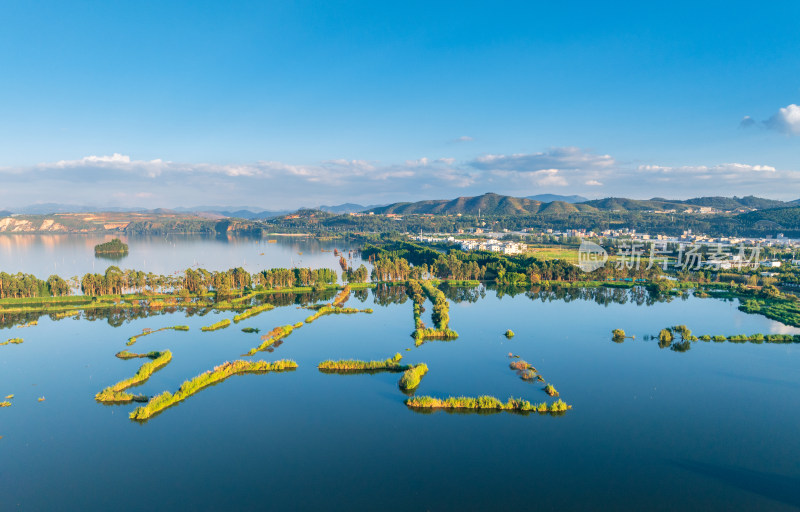 滇池湿地自然风光