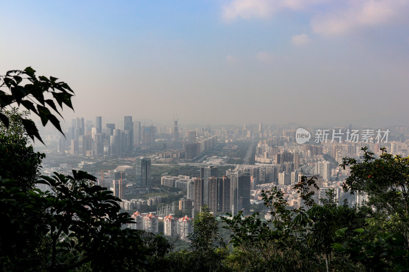 深圳南山区都市建筑风光