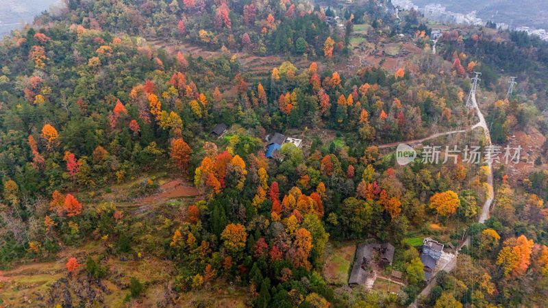 重庆酉阳：丁市镇漫山红叶“缀”美