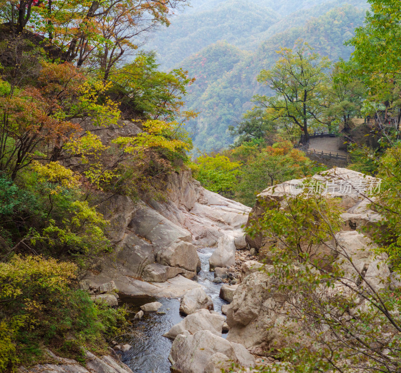 河南省洛阳白云山九龙潭秋天山谷溪流风景