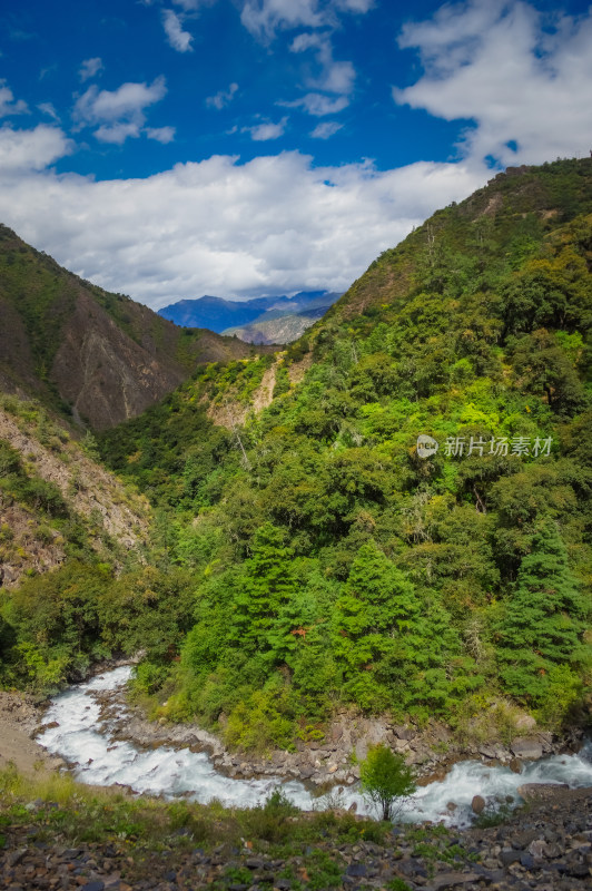 森林山谷河流绿色自然风景