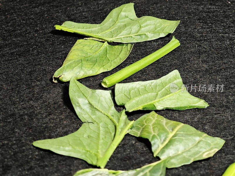 新鲜菠菜叶与茎特写