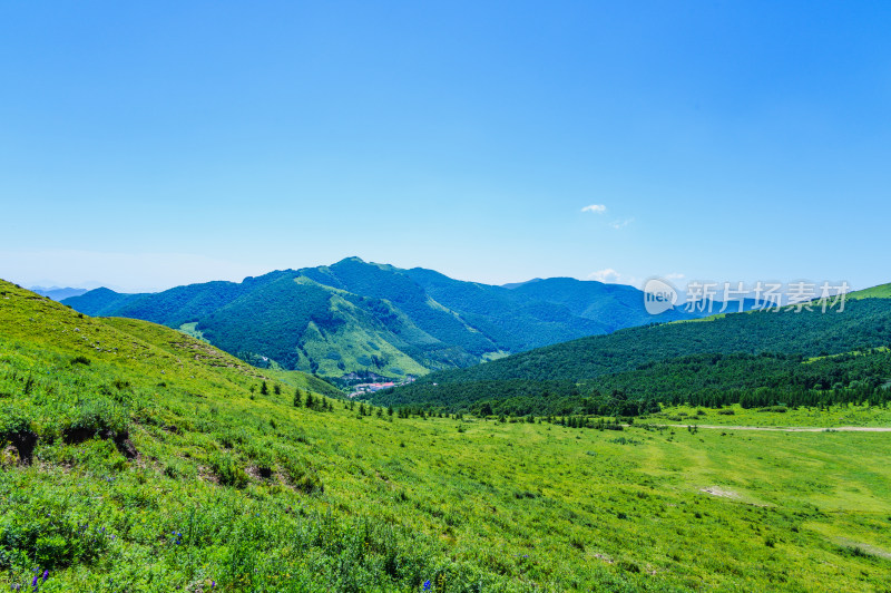 夏季蓝天白云绿色高山草甸群山大气风光