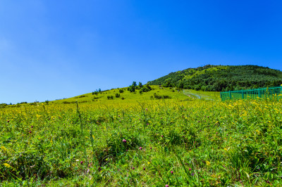 夏季蓝天白云绿色高山草甸群山大气风光