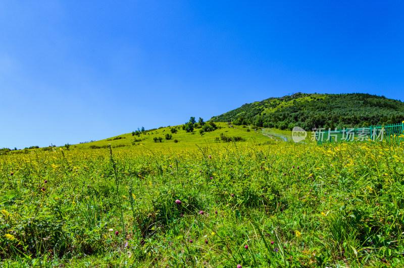 夏季蓝天白云绿色高山草甸群山大气风光