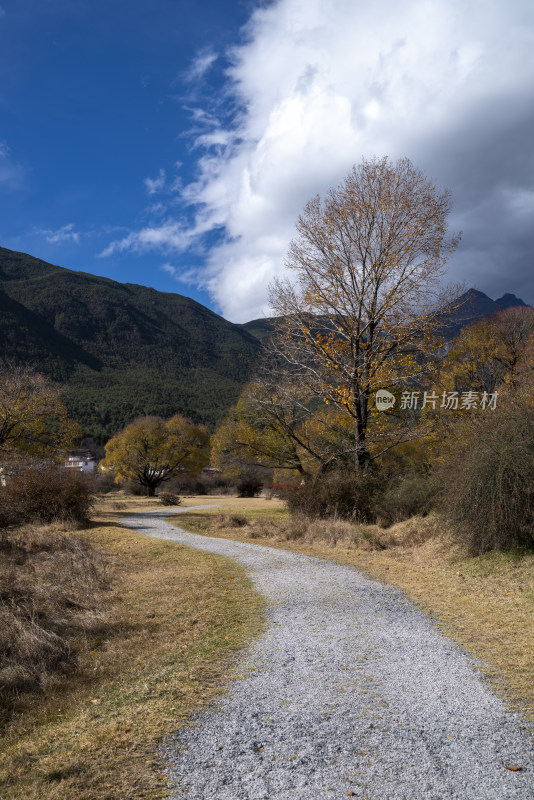 丽江冬天的风光