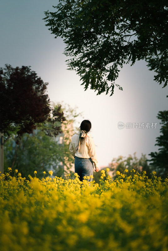 女子站在油菜花海中欣赏风景