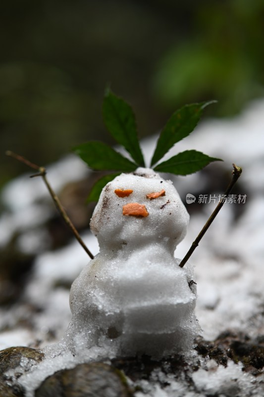 堆小雪人近景