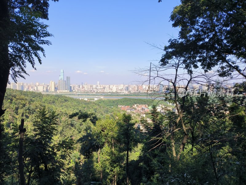 山林中眺望城市建筑群的风景