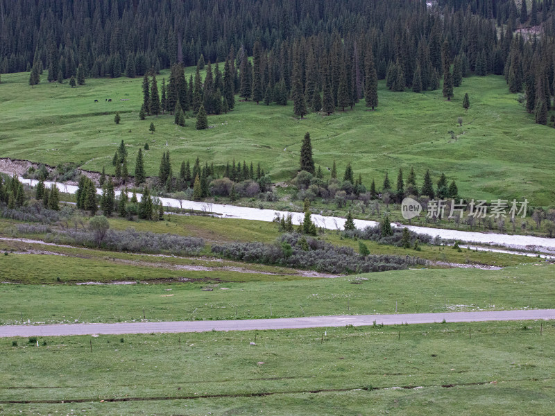 夏天新疆伊犁夏塔的草原森林河流自然风景