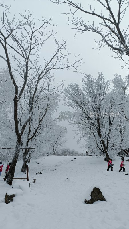 吉林省松花江雪地上的雾凇