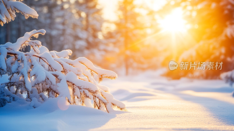 冬至阳光雪地微距自然风光背景图