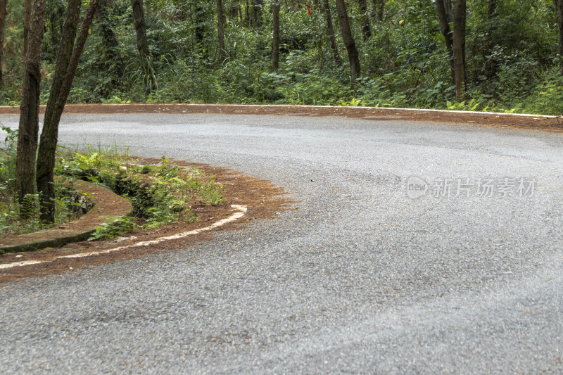 树林里的公路