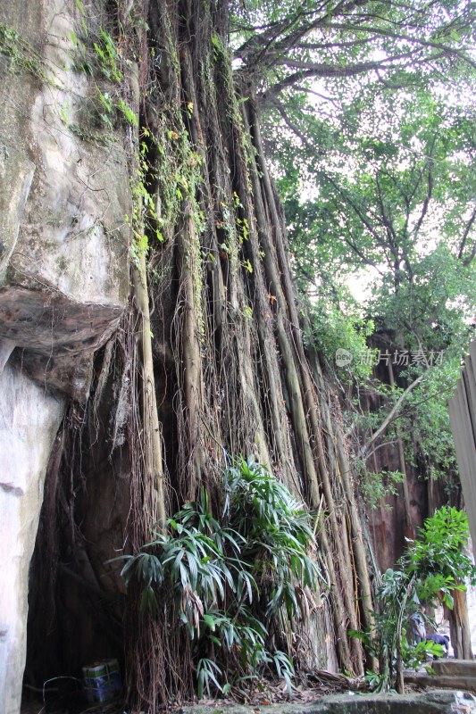 广东东莞：隐贤山庄景区