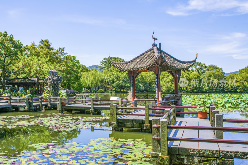 浙江杭州西湖小瀛洲岛园林景观