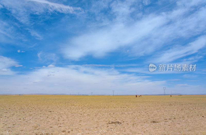 内蒙古巴彦淖尔温根塔拉旅游景区草原牧场