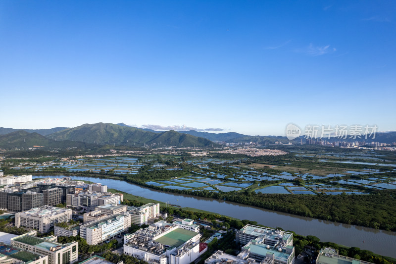 香港米埔自然护理区