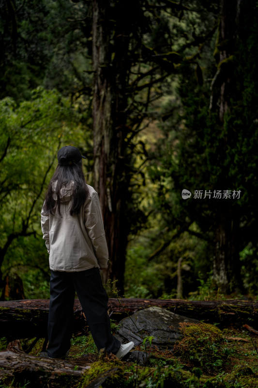 四姑娘雪山旅游的人