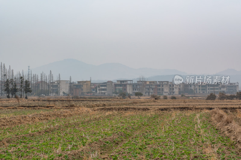 乡村田野旁的建筑群远景