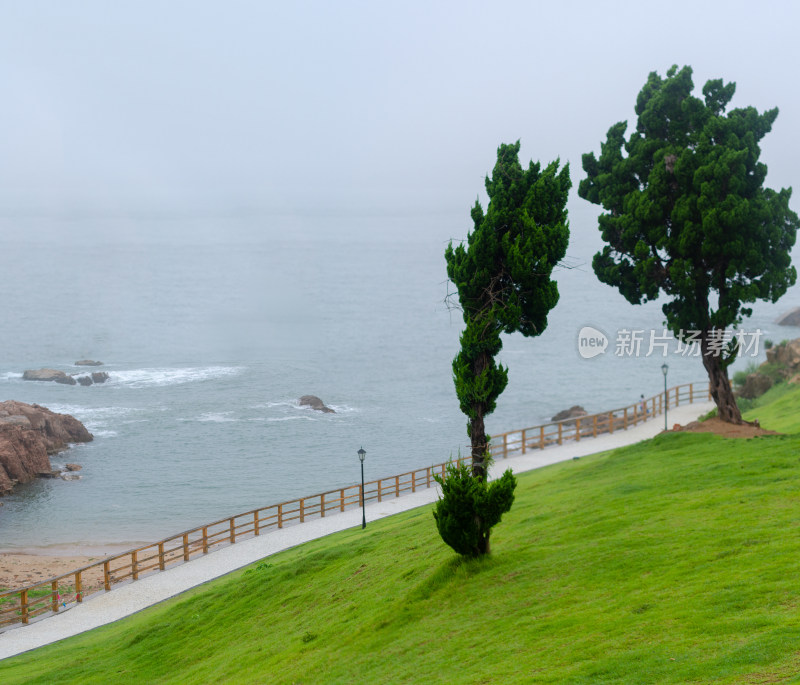 青岛小麦岛，弯曲的海岸线，绿色的草坪