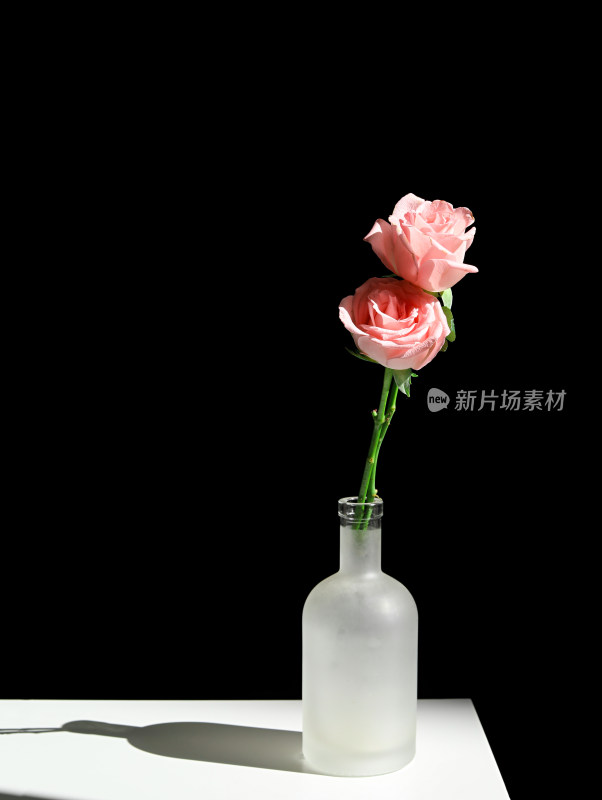 阳光下花瓶里的粉色玫瑰花