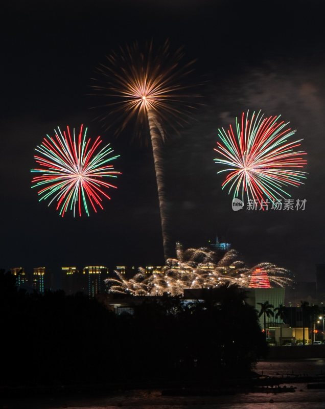 夜空中绽放的绚丽烟花