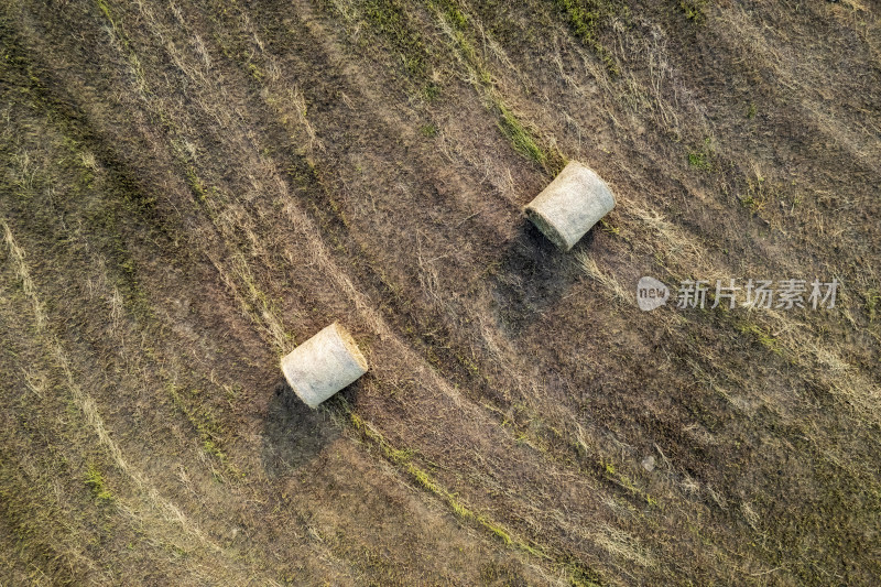 秋天天津团泊湖稻田草垛农业风光航拍