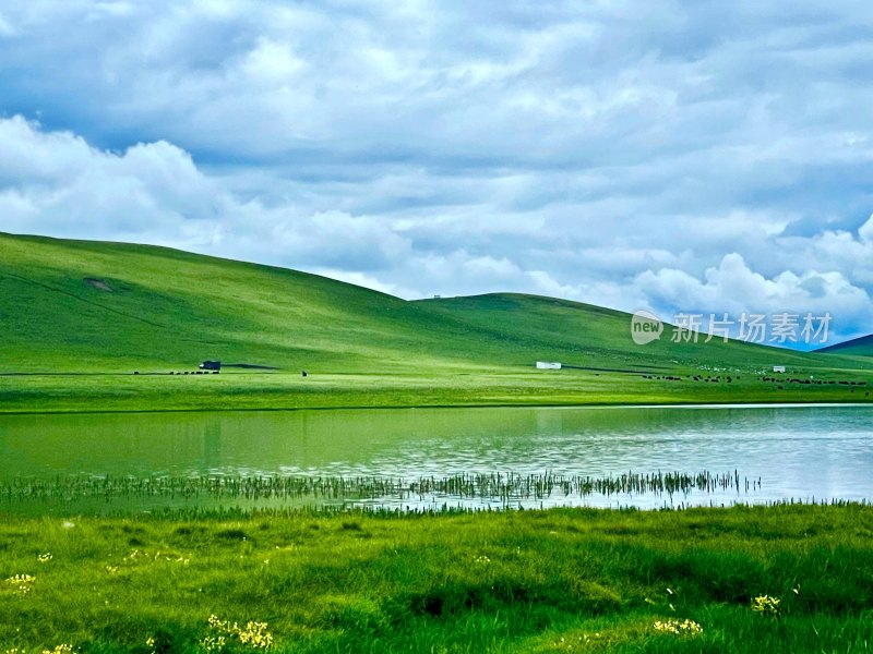 草原上的湖泊风景